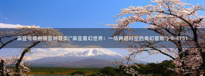 麻豆视频标签规划