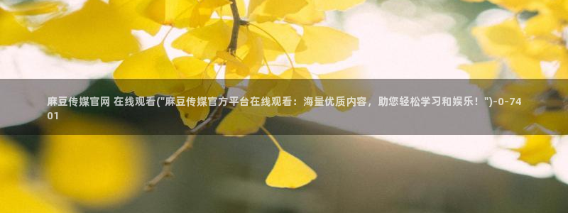 麻豆视频解说文案