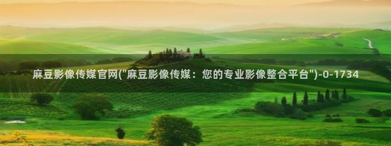 麻豆视频关于我们