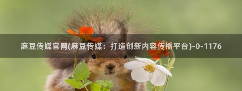 麻豆视频图片规则
