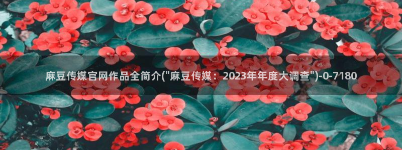 麻豆视频榜单