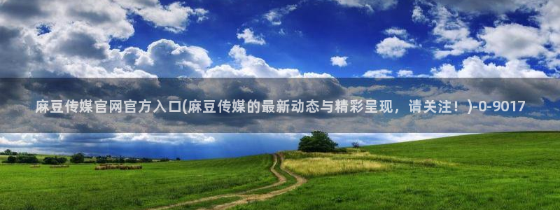 麻豆视频指南文案