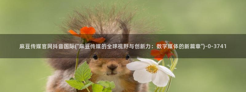 麻豆视频模板