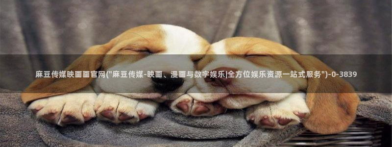麻豆视频资讯文案