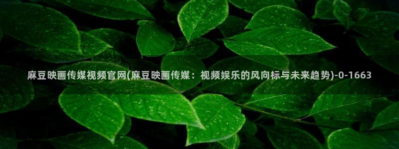 麻豆视频百度优化