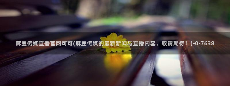 麻豆视频精准词