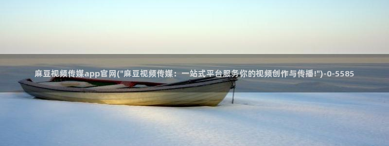 麻豆视频资料文案
