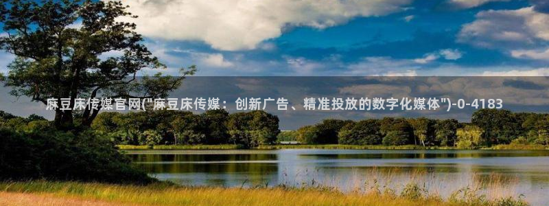 麻豆视频点评