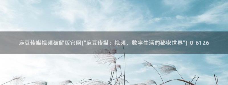 麻豆视频页面结构