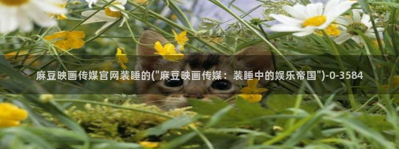 麻豆页面收录