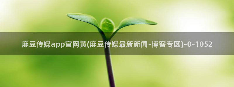 麻豆视频收藏