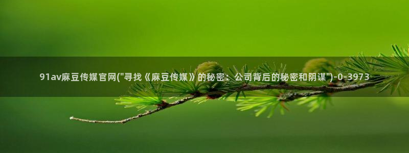麻豆原创视频：91av麻豆传媒官网(\