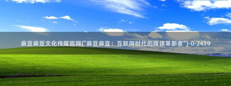 麻豆合集页：麻豆麻豆文化传媒官网(\