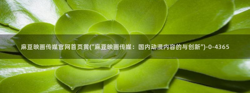 麻豆内容整理