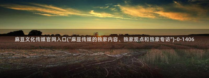 麻豆视频站内文案