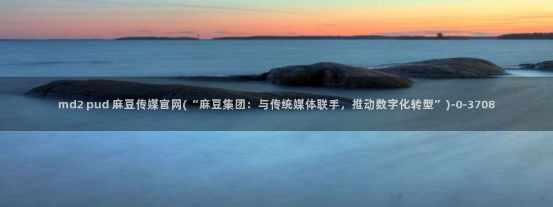 麻豆视频在线观看