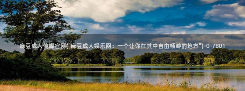 麻豆视频站内文案