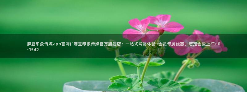 麻豆热门演员